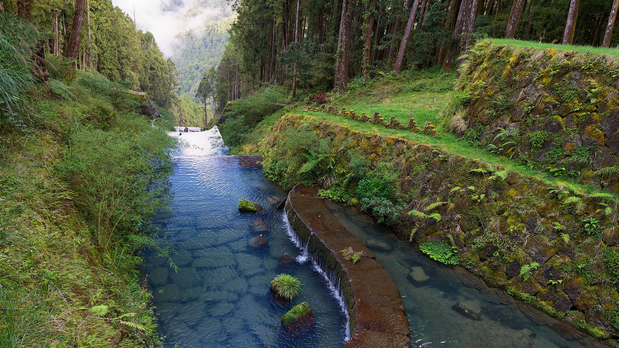 05 - Alishan (49).jpg